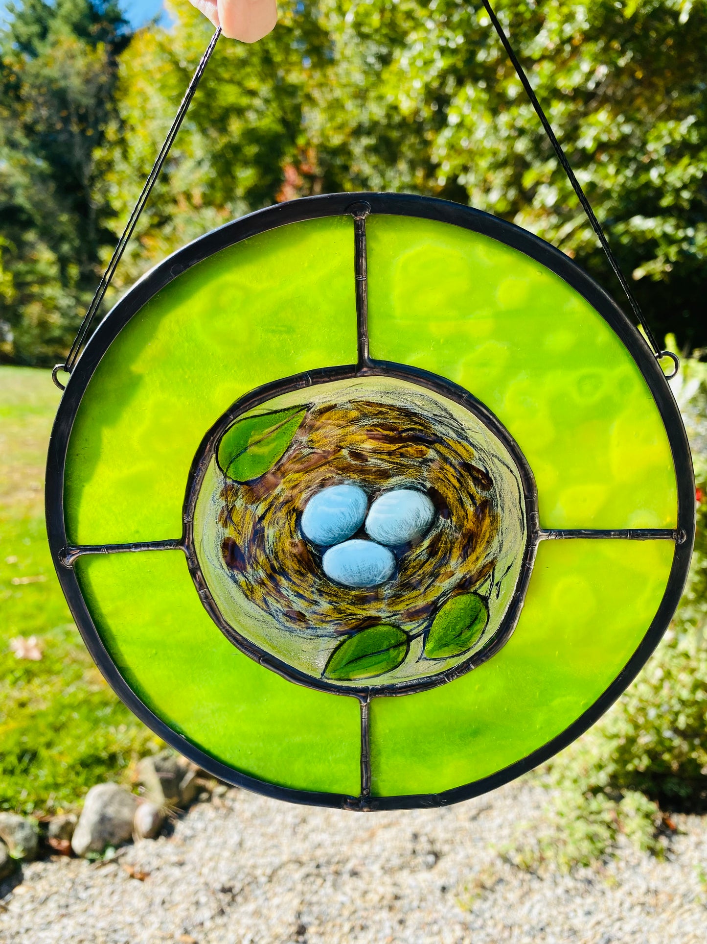 Eastern Bluebird Nest Moss Green
