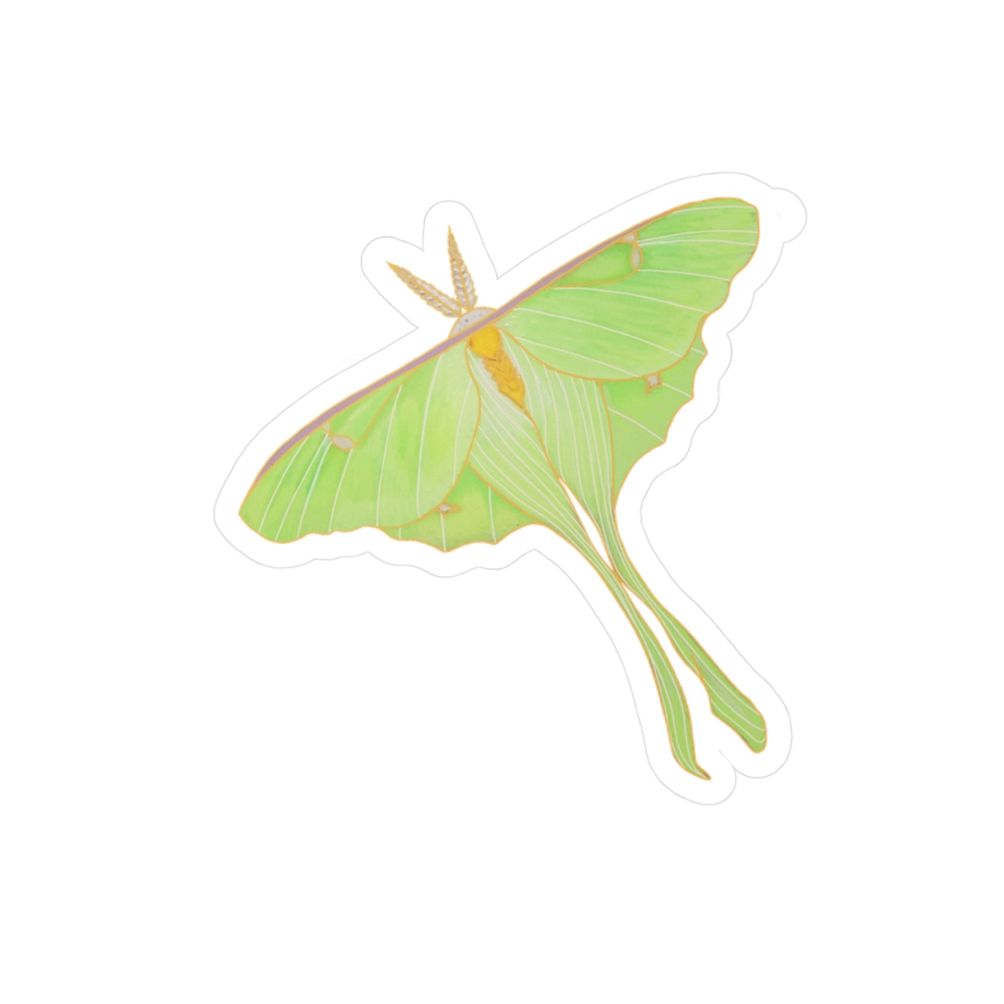 Luna Moth Kiss-Cut Vinyl Decals