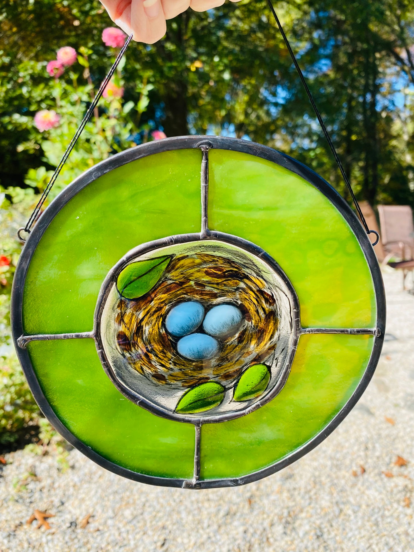 Eastern Bluebird Nest Moss Green