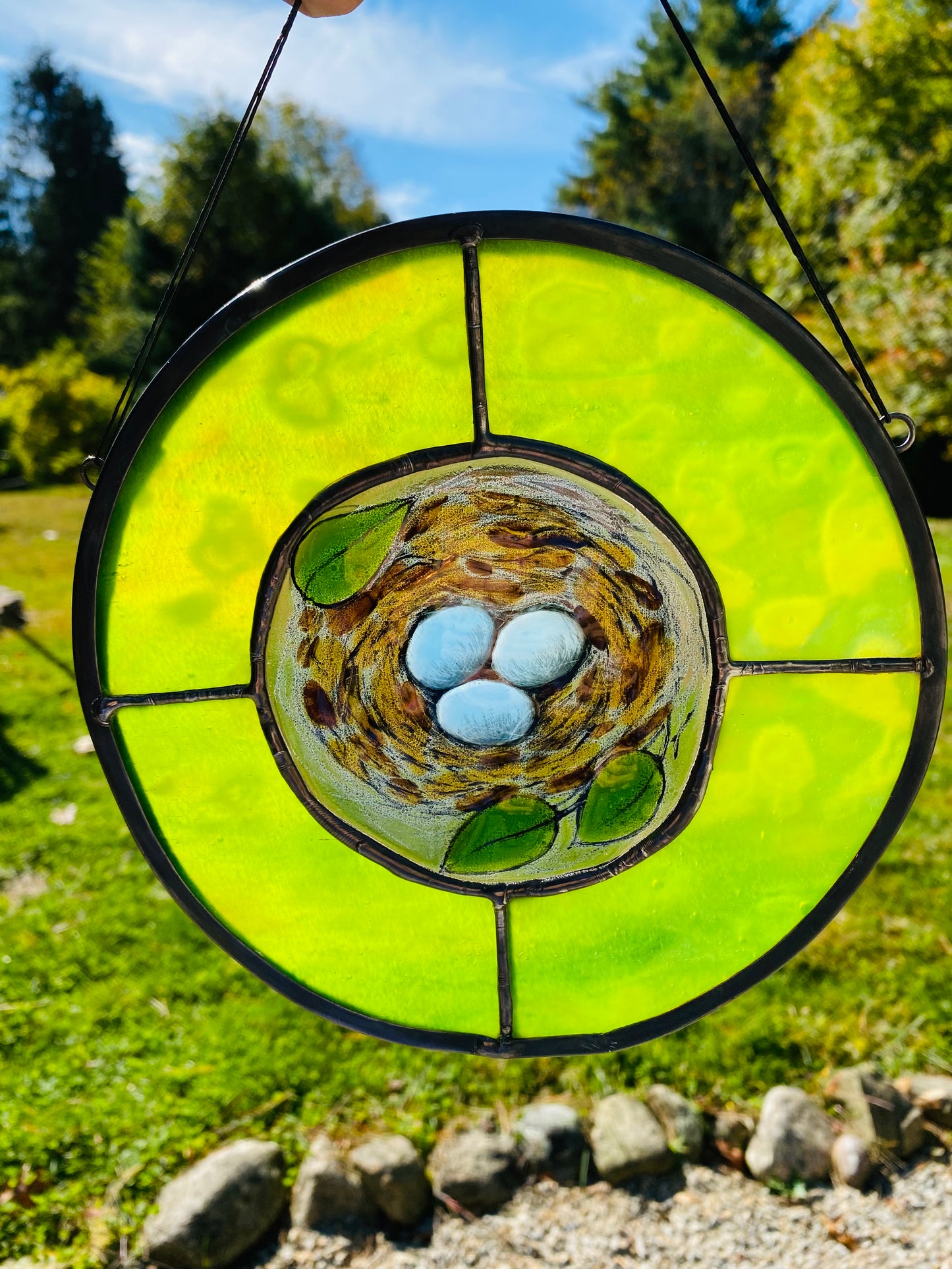 Eastern Bluebird Nest Moss Green