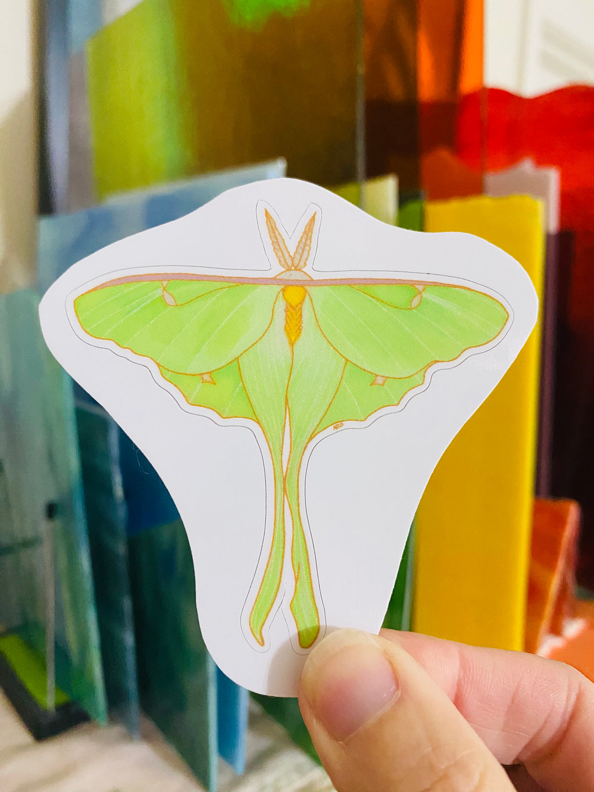 Luna Moth Sticker Luna Moth Stickers – Kim's Painted Glass